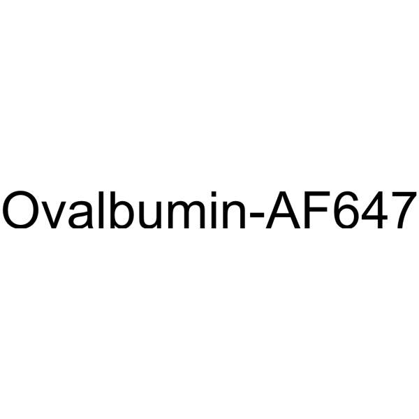 Ovalbumin-AF647